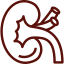 rim